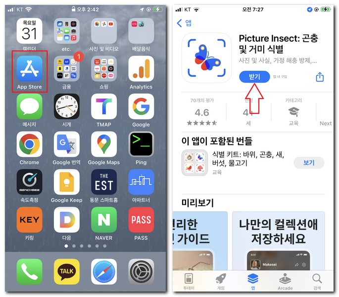 아이폰 곤충 이름 찾기 앱 설치하는 법
